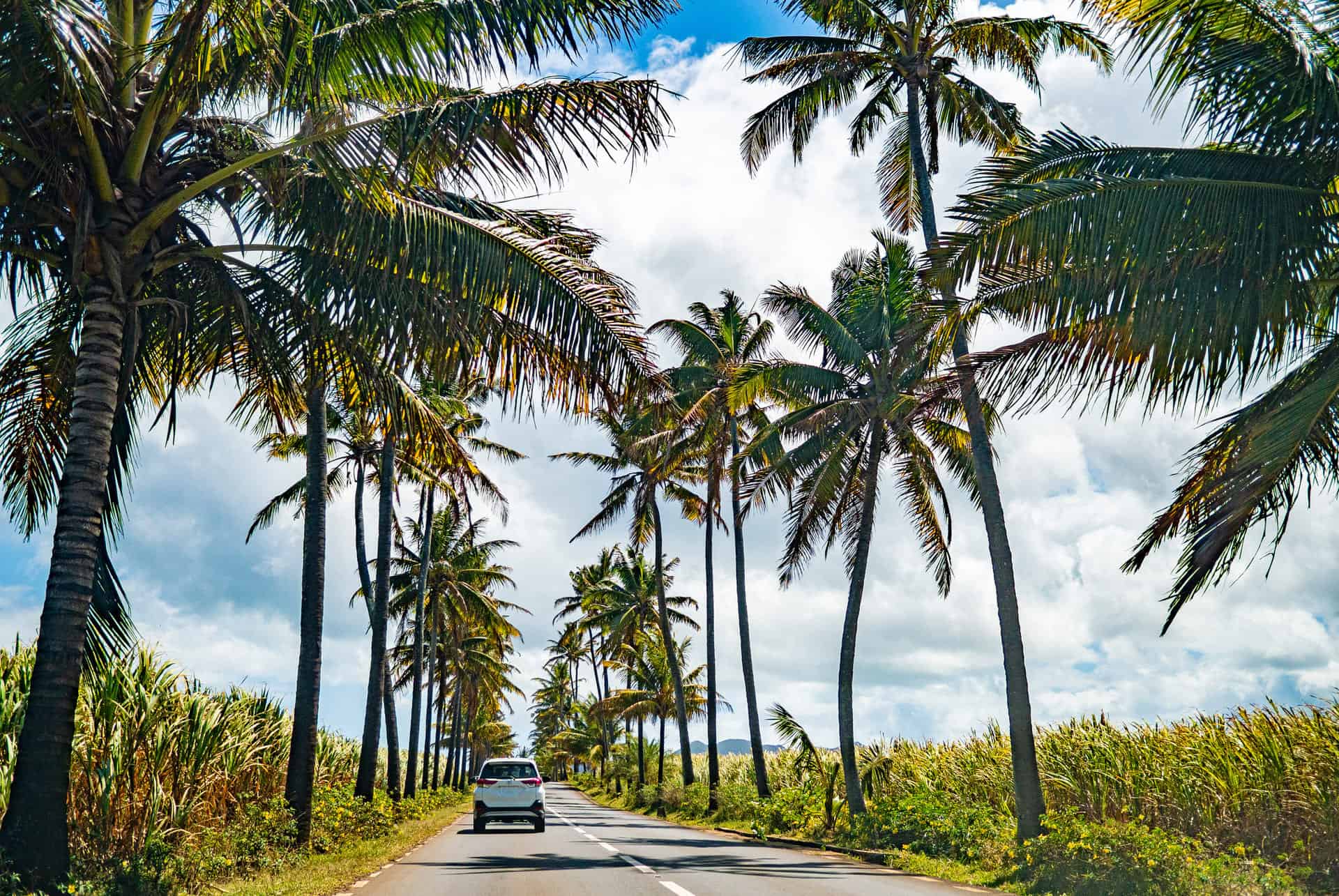 conduire road trip à lile maurice