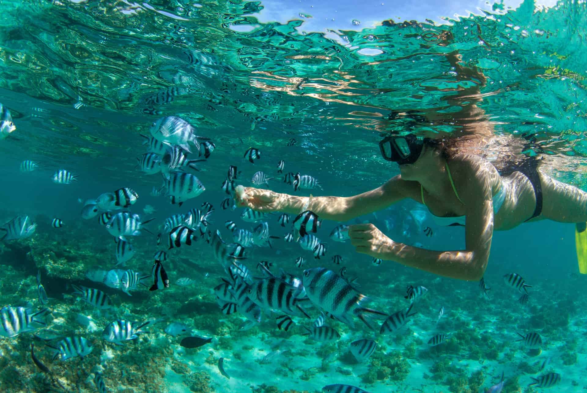 snorkeling ile maurice