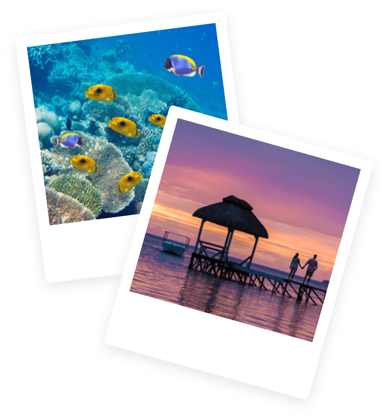 newsletter blog maurice