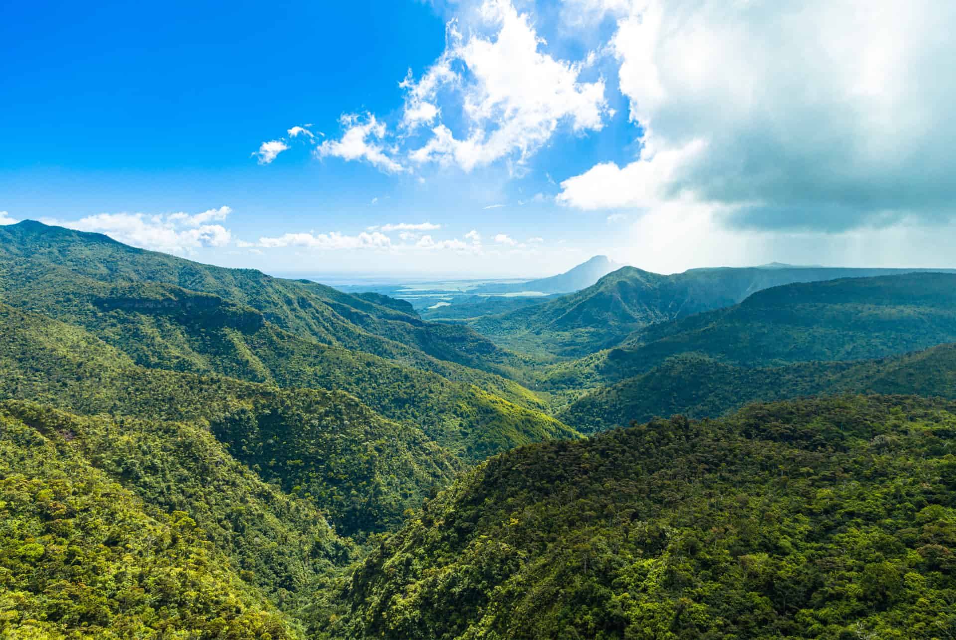 Le parc national des Gorges de Rivière Noire