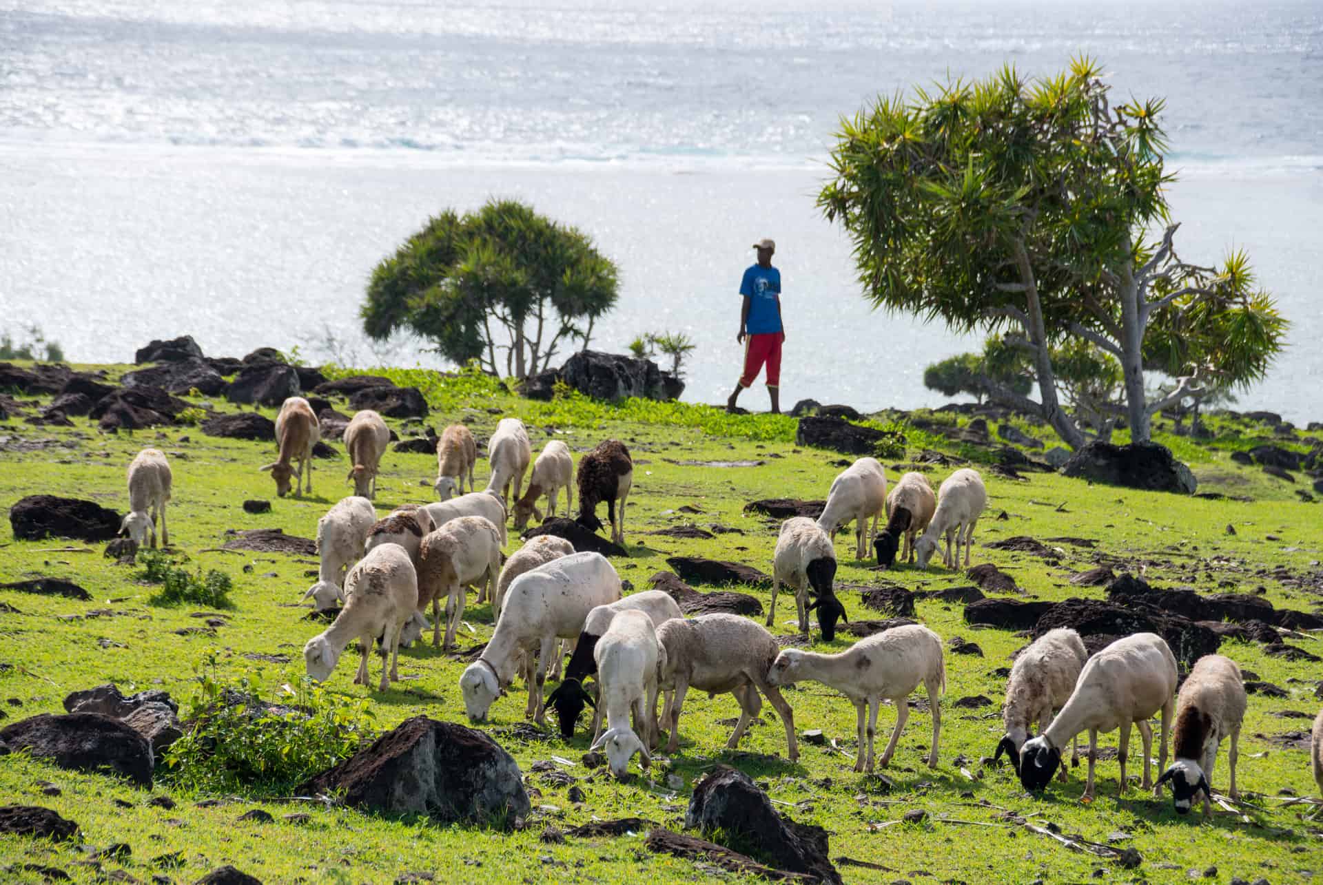 aller a rodrigues depuis la france