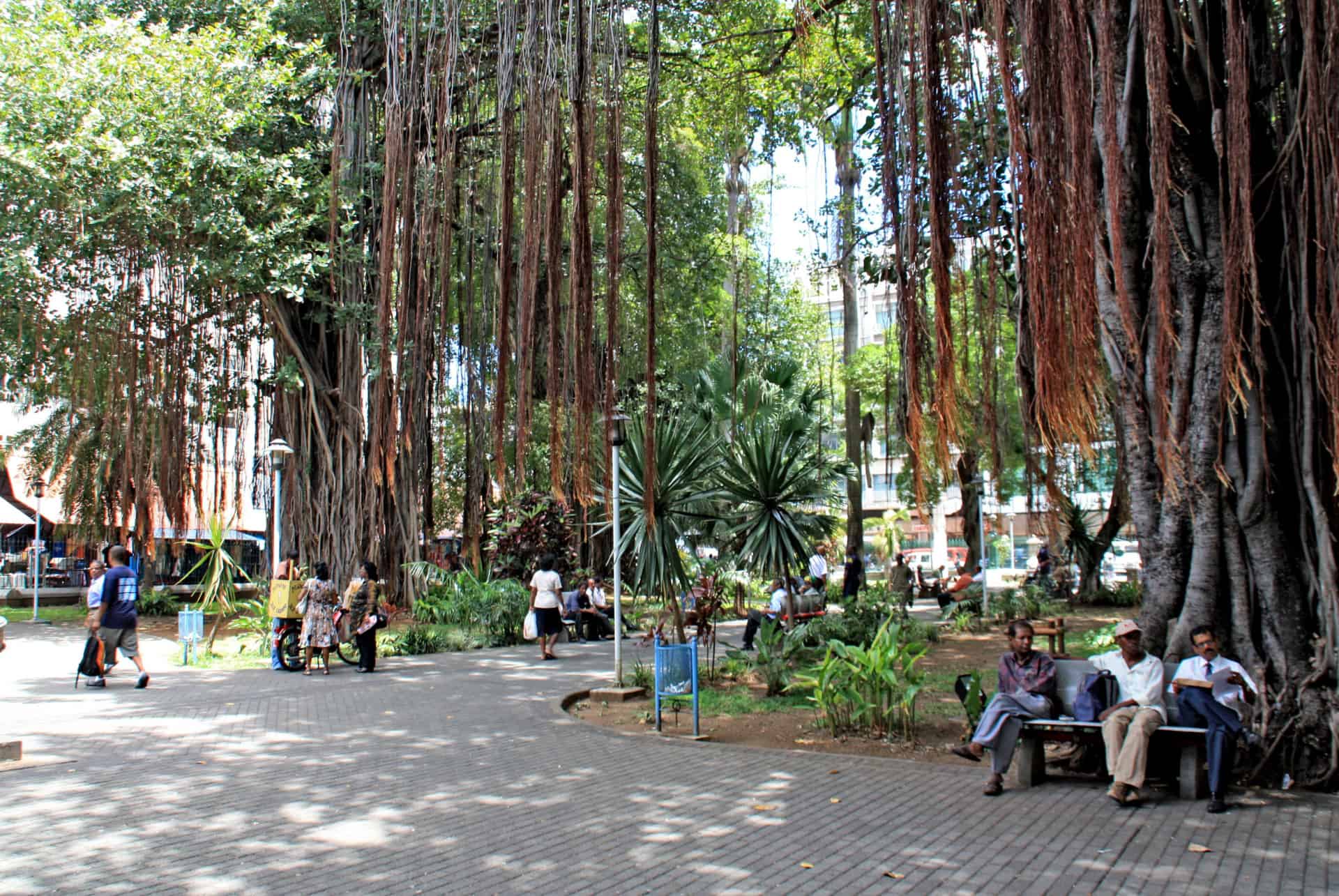 jardin de la compagnie que faire port louis
