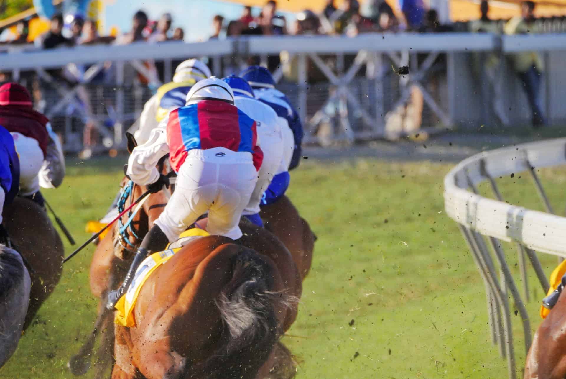 maiden cup