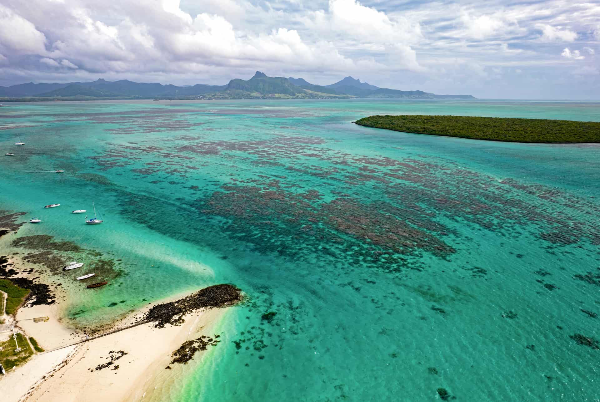 iles aux aigrettes