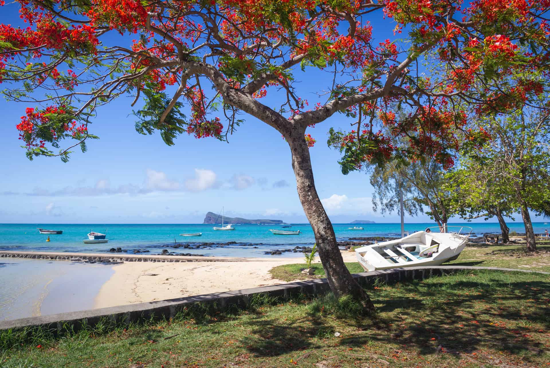 Quand partir à l’île Maurice ?