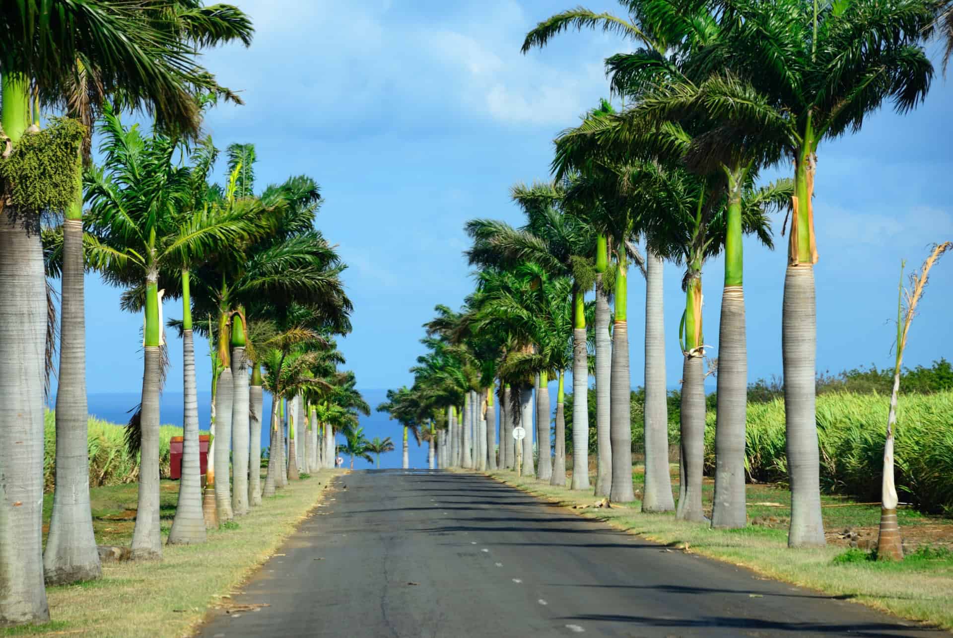 Conduire à l’île Maurice
