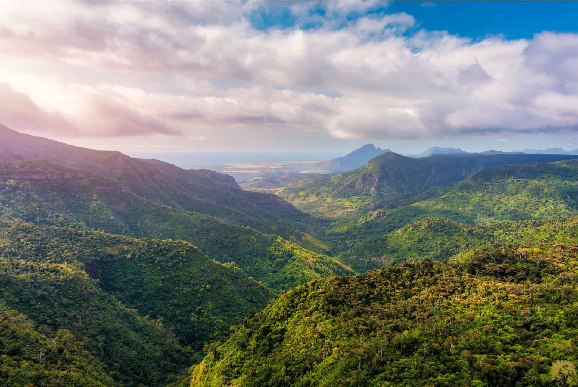 Parc national des Gorges de la rivière Noire sur l'île Maurice
