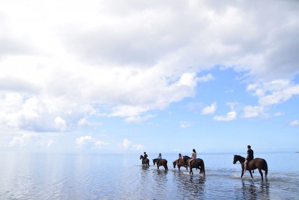 Balade à cheval dans le lagon du Morne