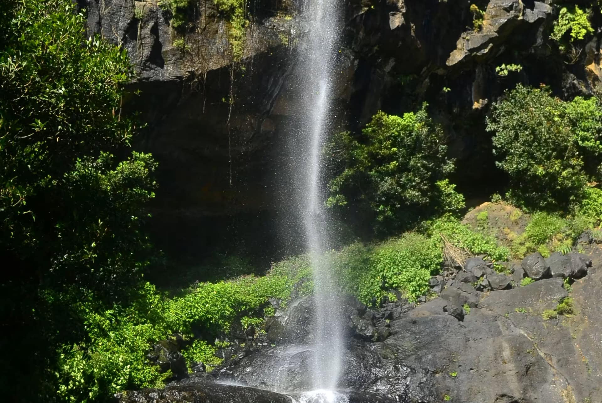 cascades de tamarin