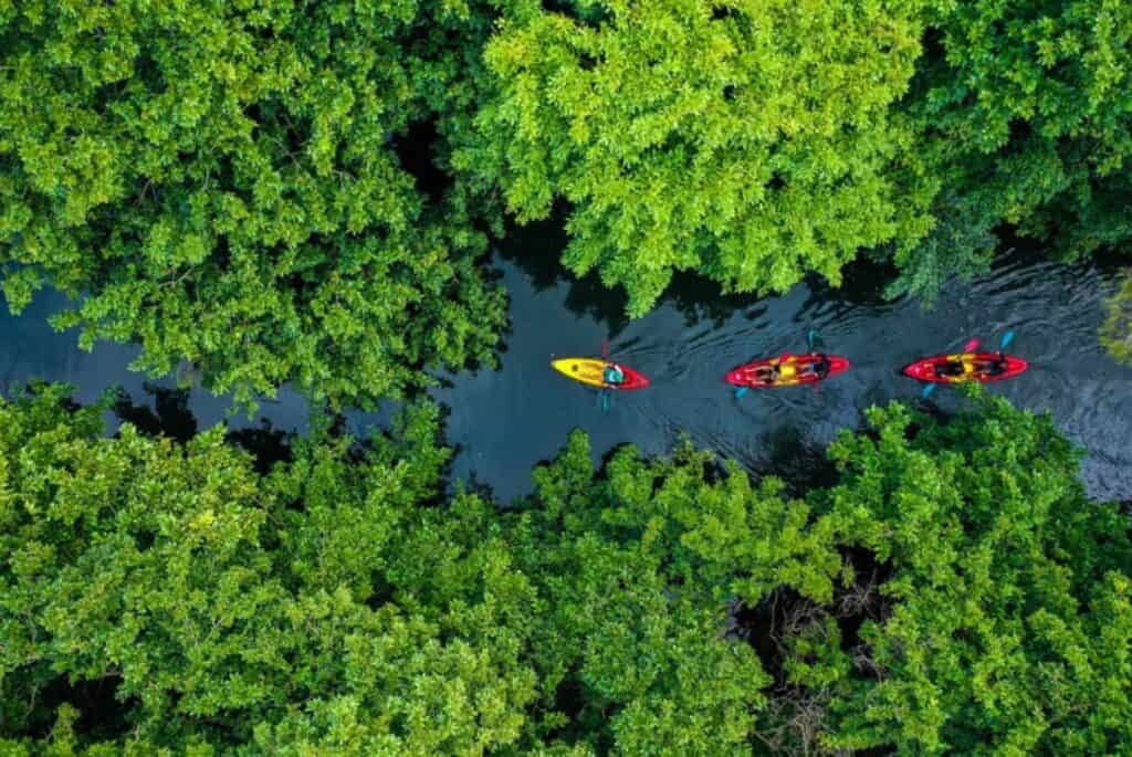 Excursion en canoë kayak sur la rivière de Tamarin