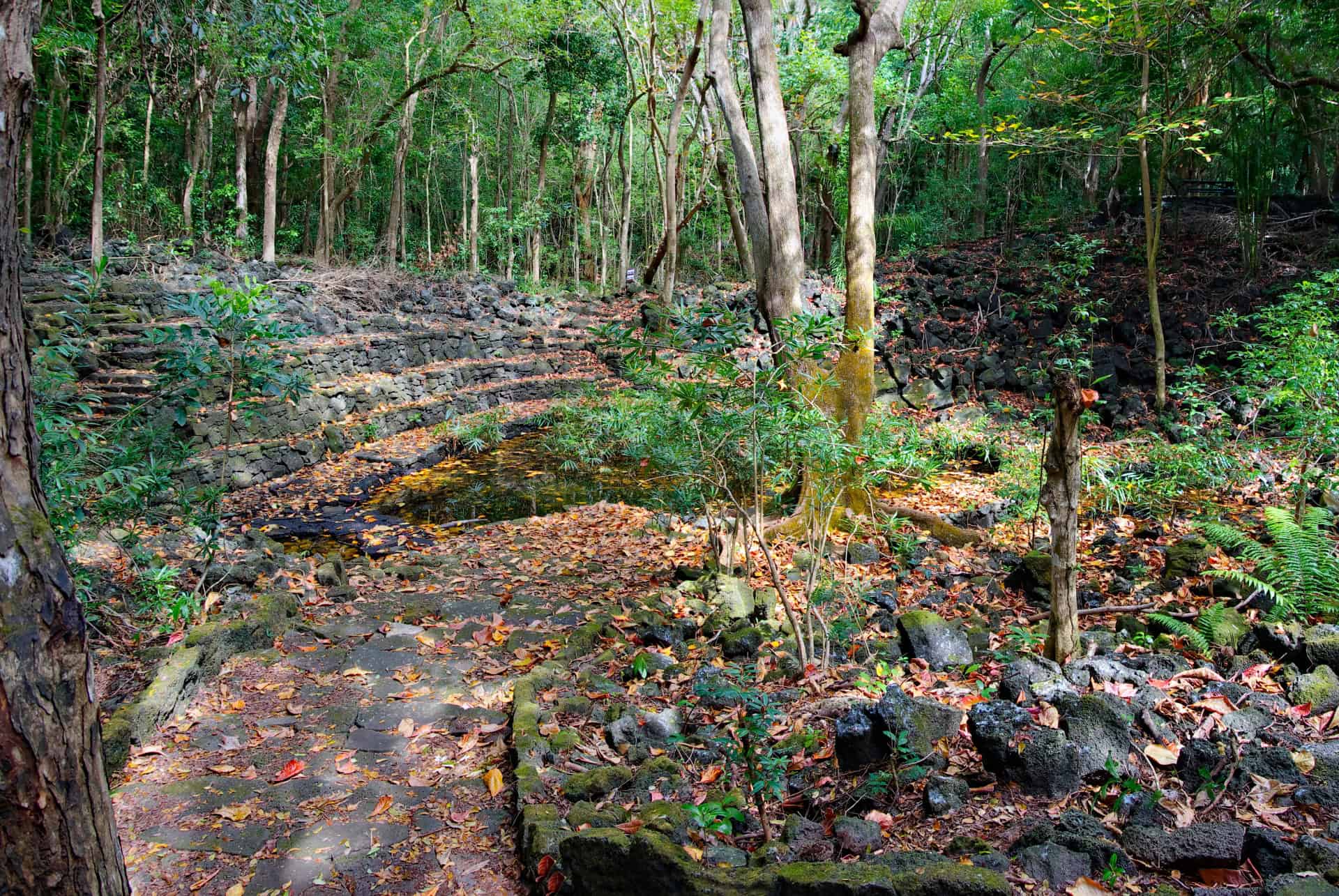 parc national de bras eau