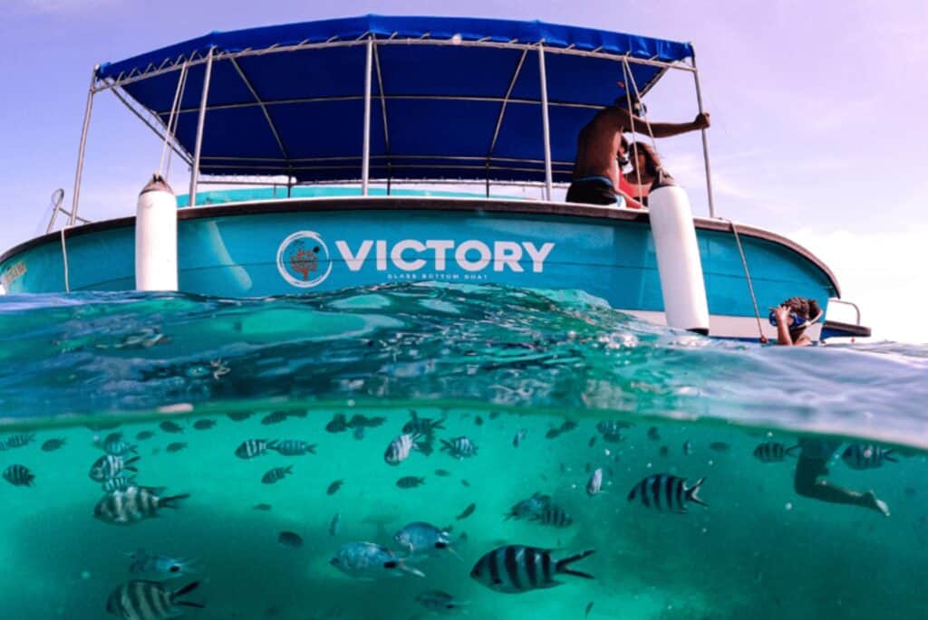 Tour en bateau à fond de verre à Blue Bay