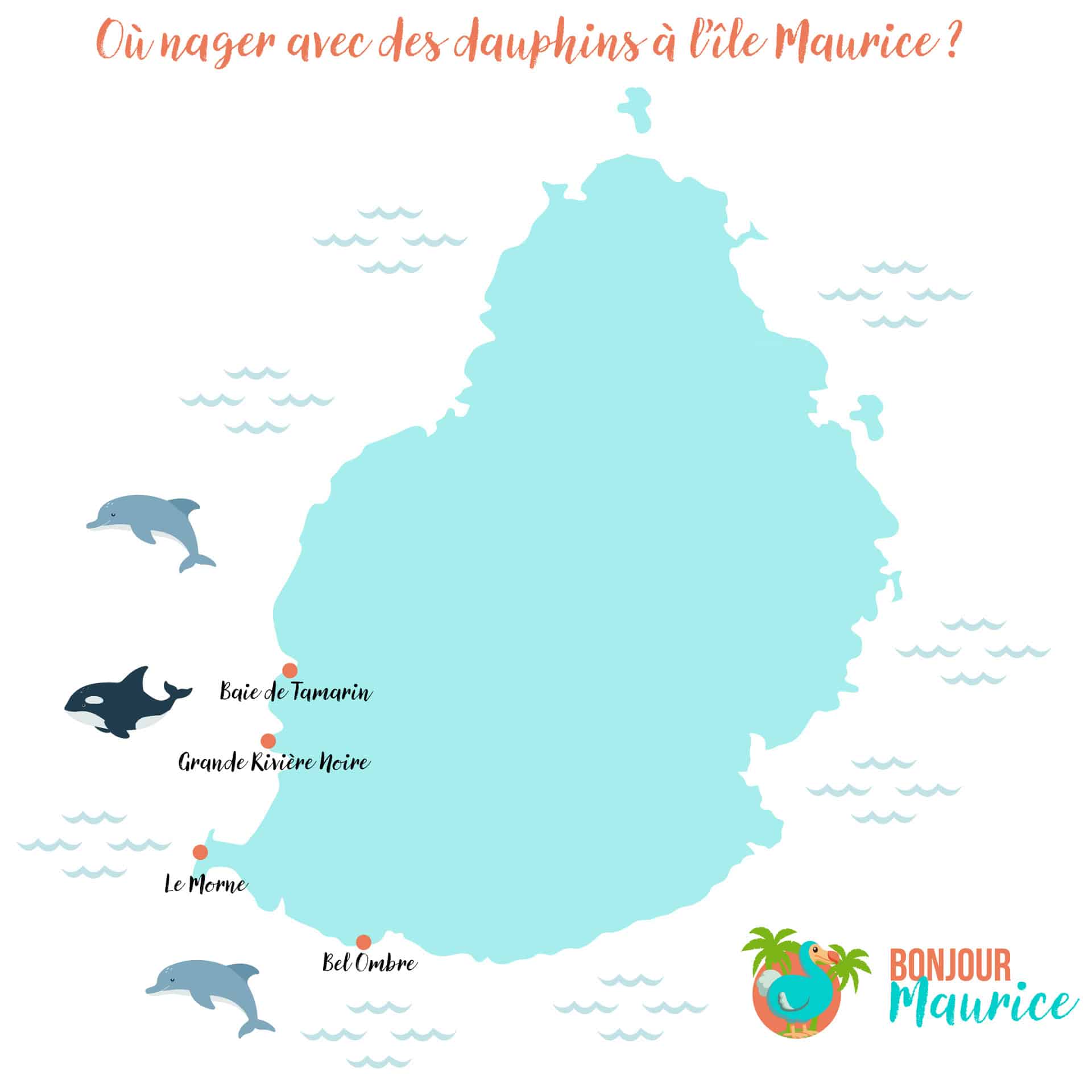 map dauphins ile maurice