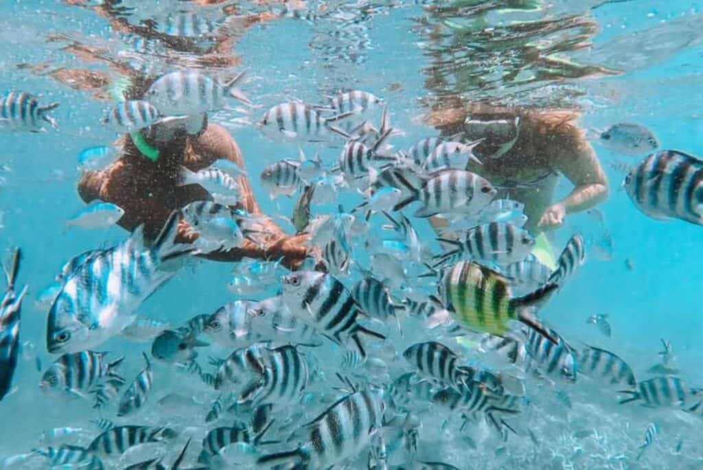 Snorkeling au parc marin de Blue Bay