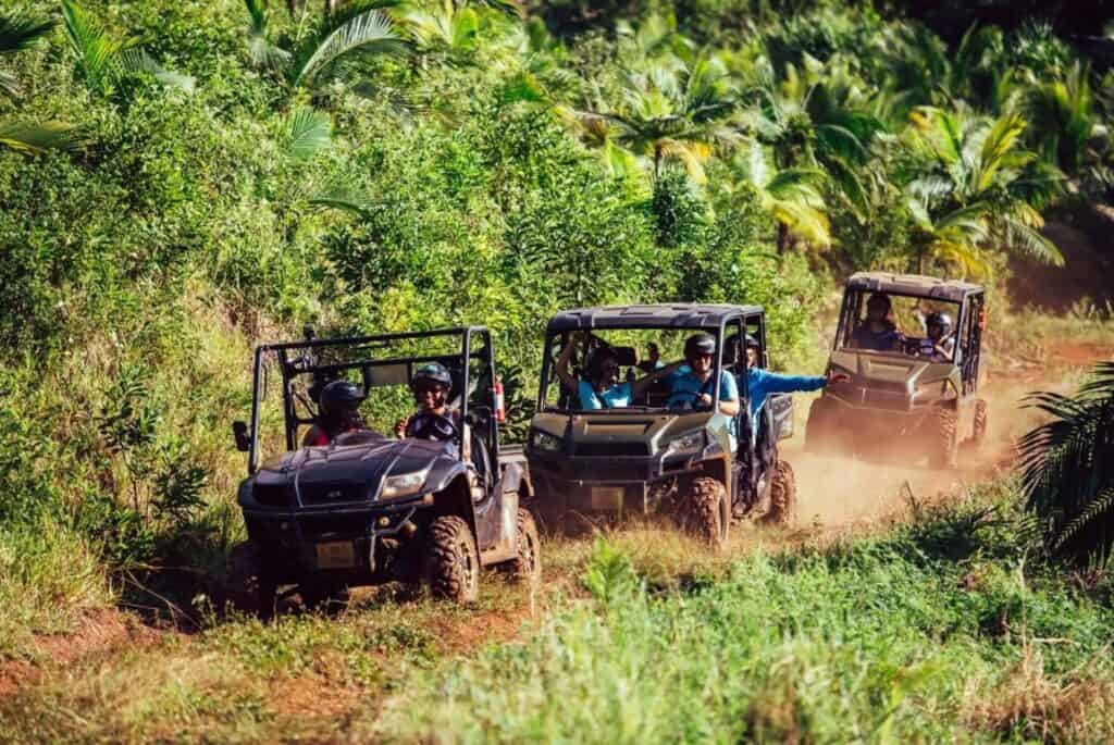 Excursion en buggy dans la réserve de Bel Ombre
