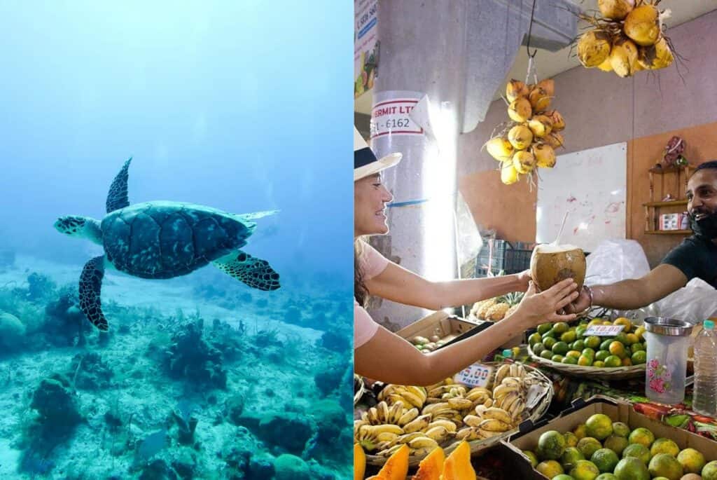 Snorkeling et visite culinaire