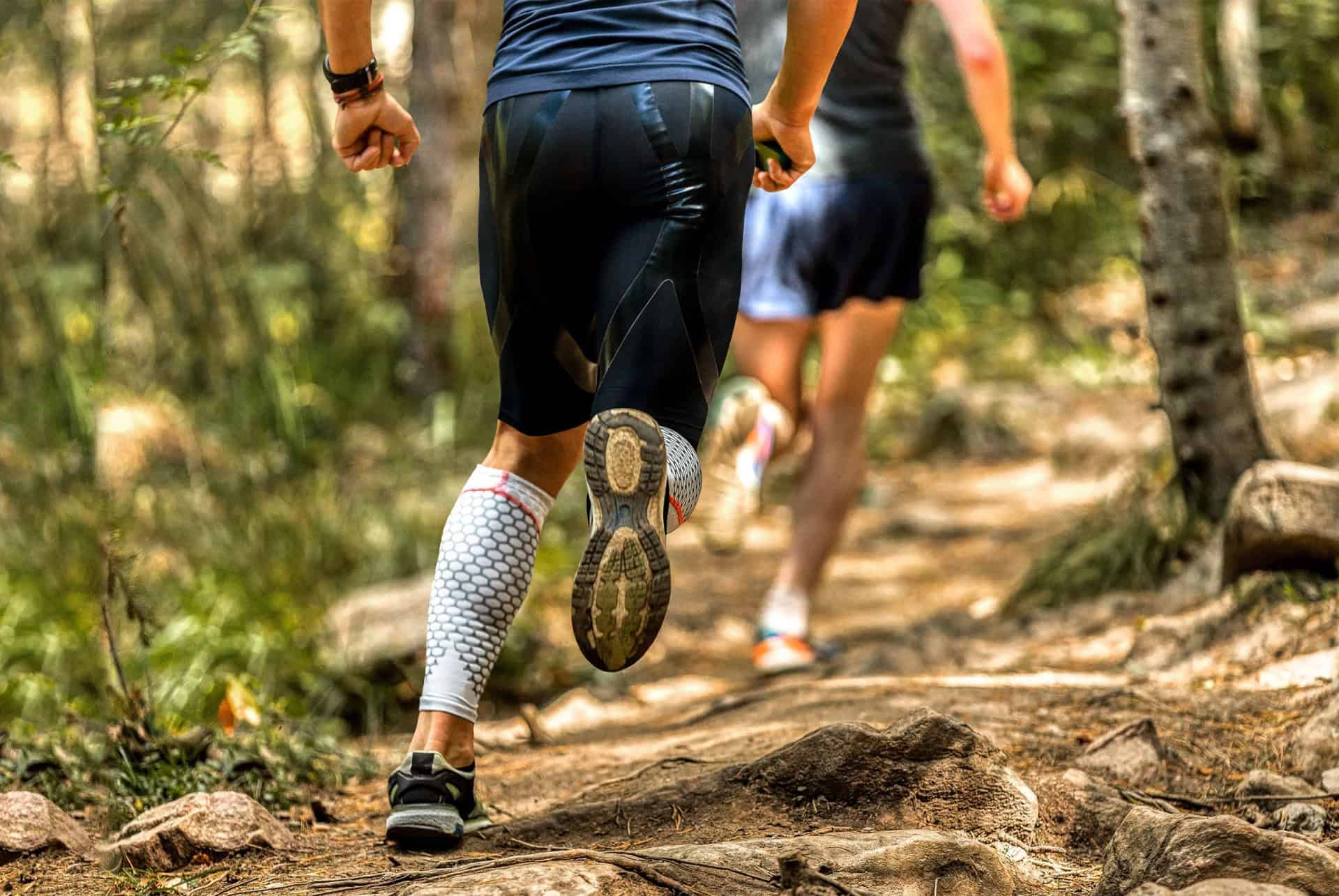 Dodo Trail