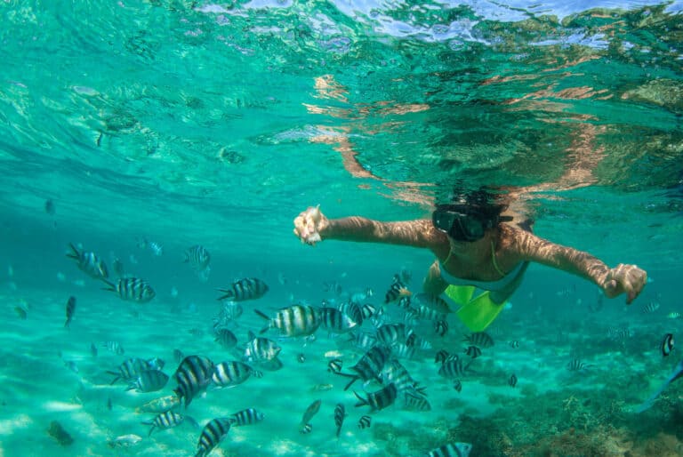 Excursion en bateau à fond de verre et snorkeling