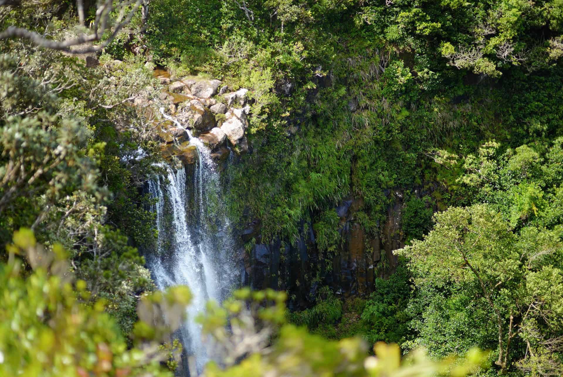 chutes alexandra ile maurice
