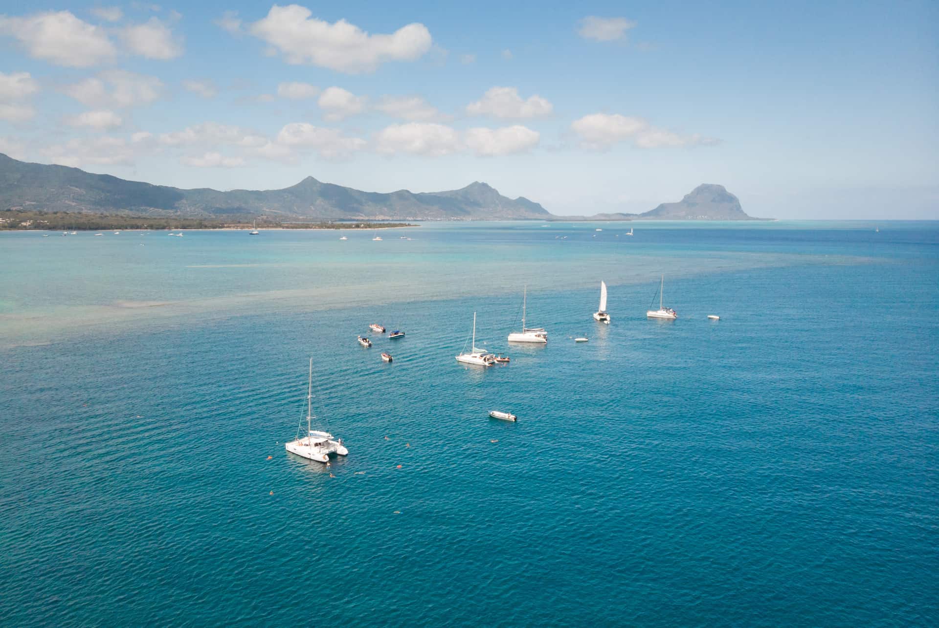excursions nager dauphins à l'île maurice