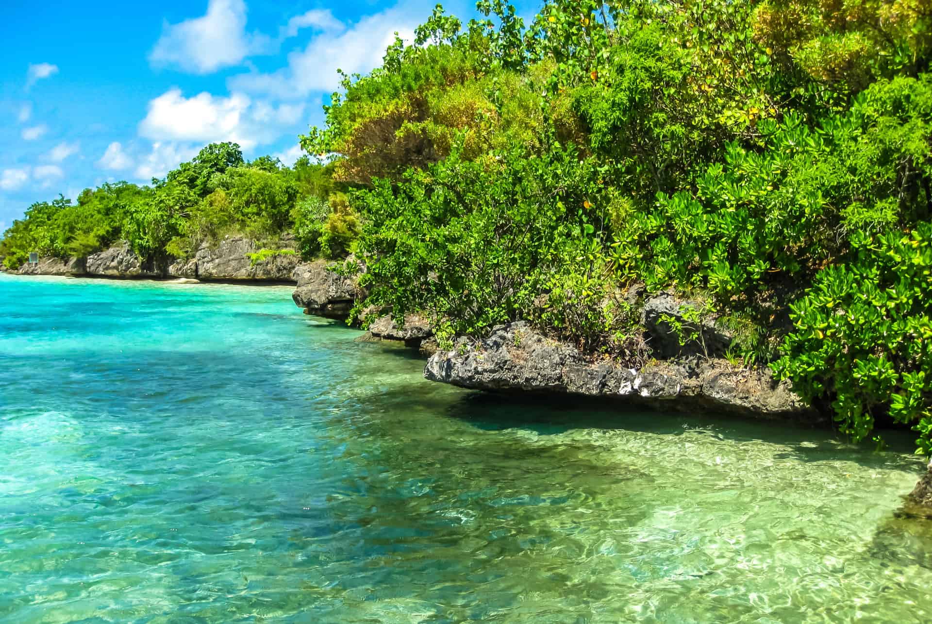 ile aux aigrettes