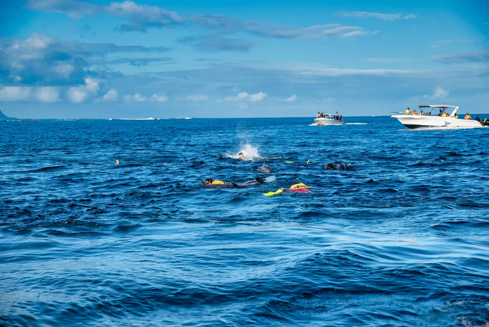 nager avec dauphins à l'île maurice