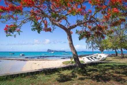 Quand partir à l’île Maurice ?