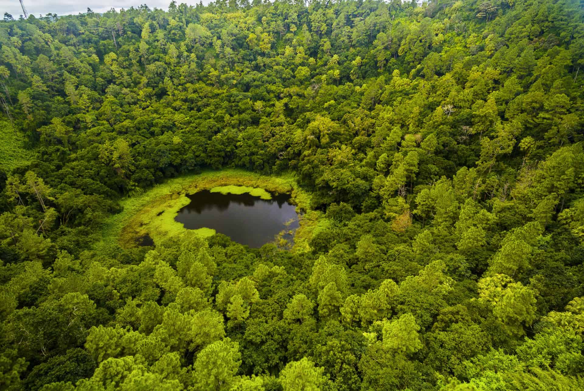 trou aux cerfs ile maurice