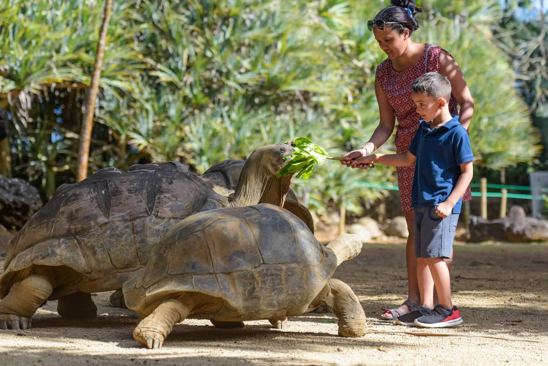 voyage ile maurice avec des enfants