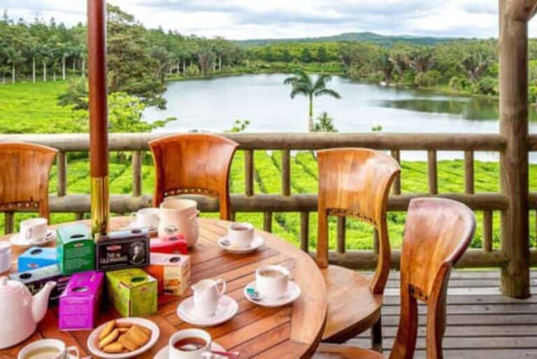 Circuit guidé du sud de l'île