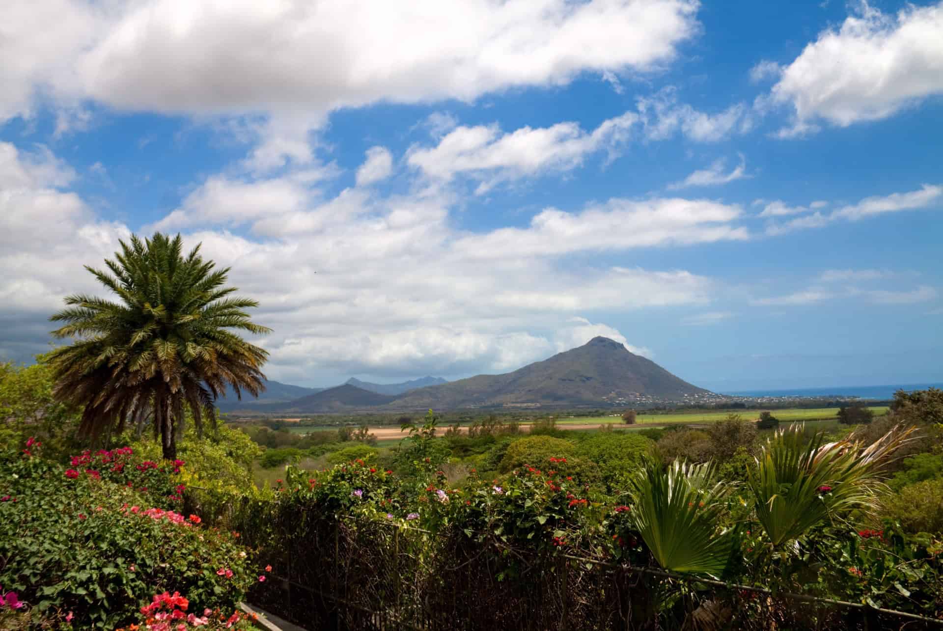 paysage depuis le parc de casela sur l'ile maurice