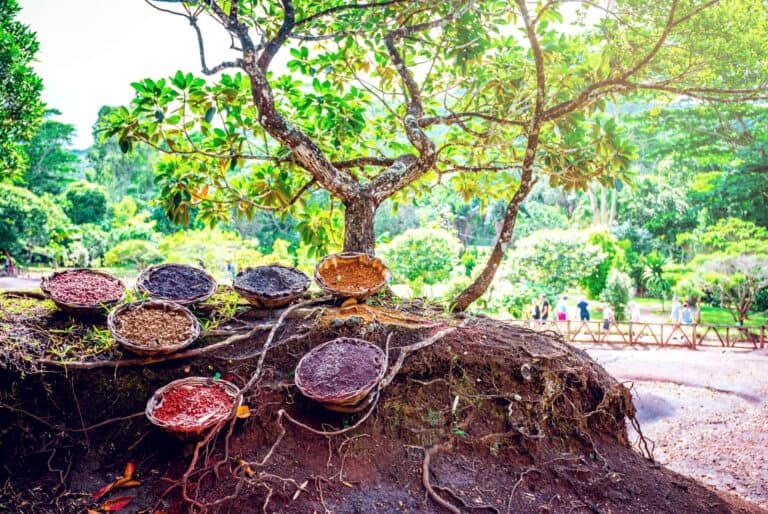 terre des 7 couleurs