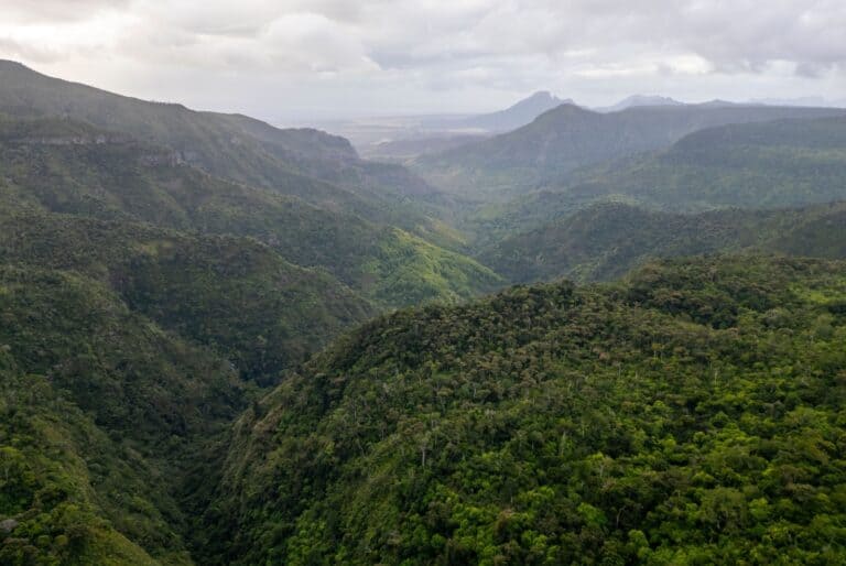 Visite privée du sud-ouest de Maurice