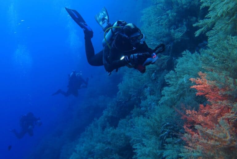 Plongée sous-marine à East Belle Mare
