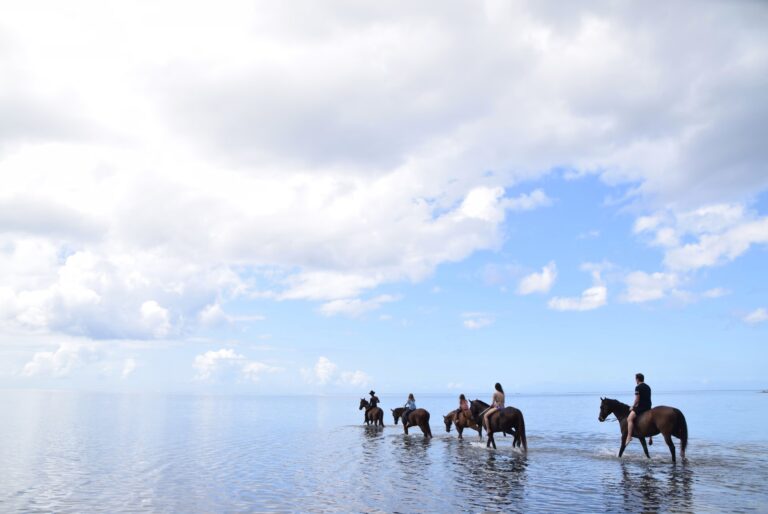 Balade à cheval dans le lagon du Morne