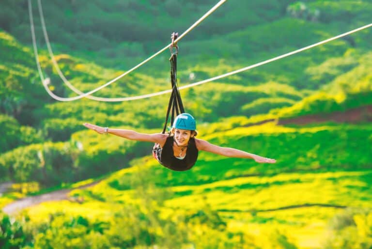 Billet pour la Zipline Signature