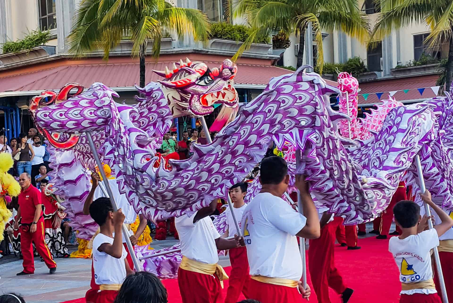 festival dragons