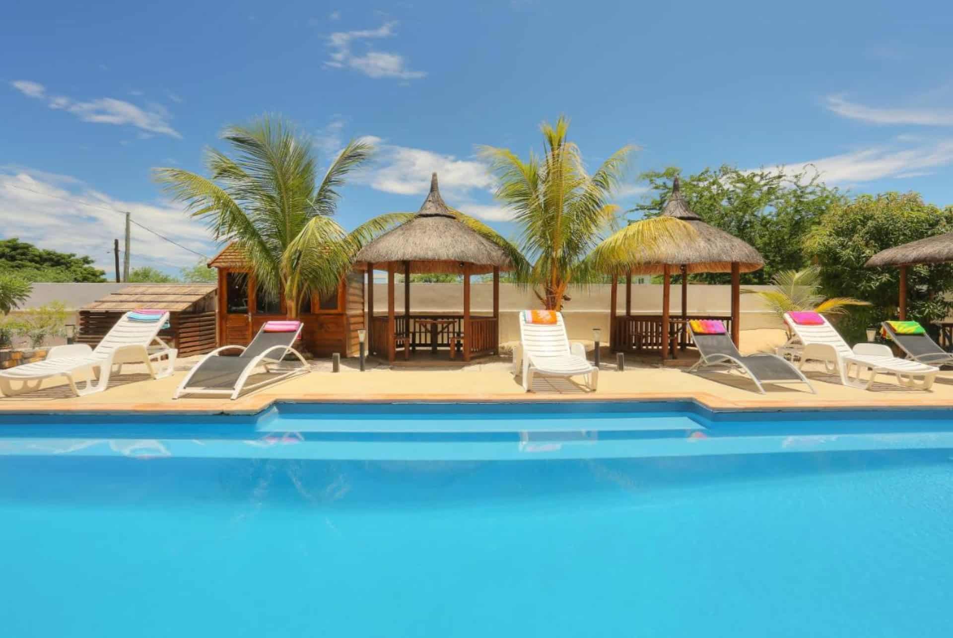 oiseau de locean tourist piscine