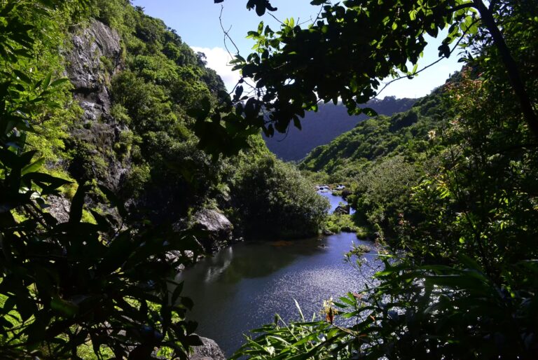 Randonnée aux 7 cascades de Tamarin