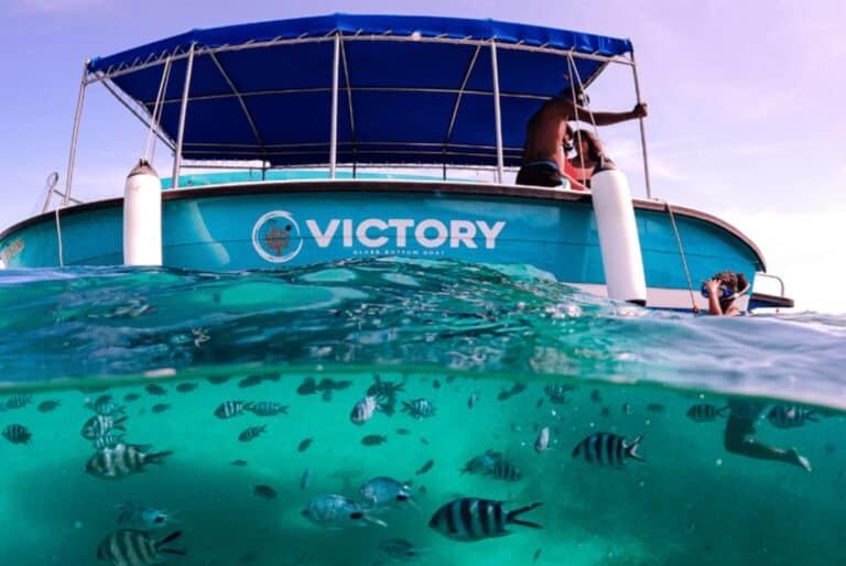 Tour en bateau à fond de verre à Blue Bay