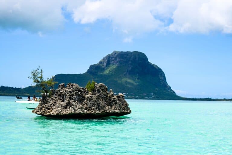 Excursion à l’île aux Bénitiers