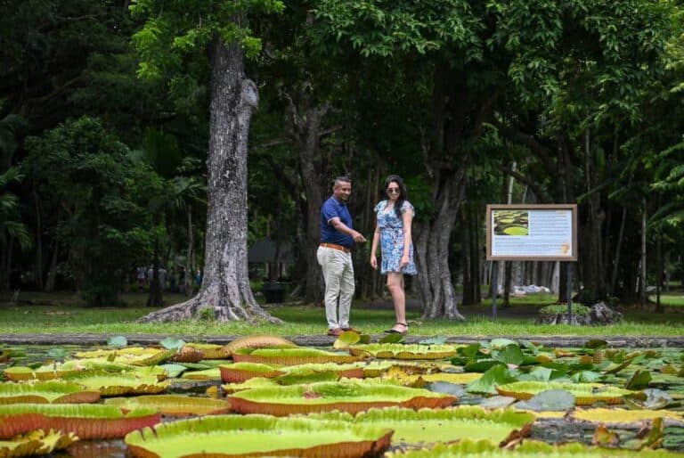 Circuit guidé du nord de l'île