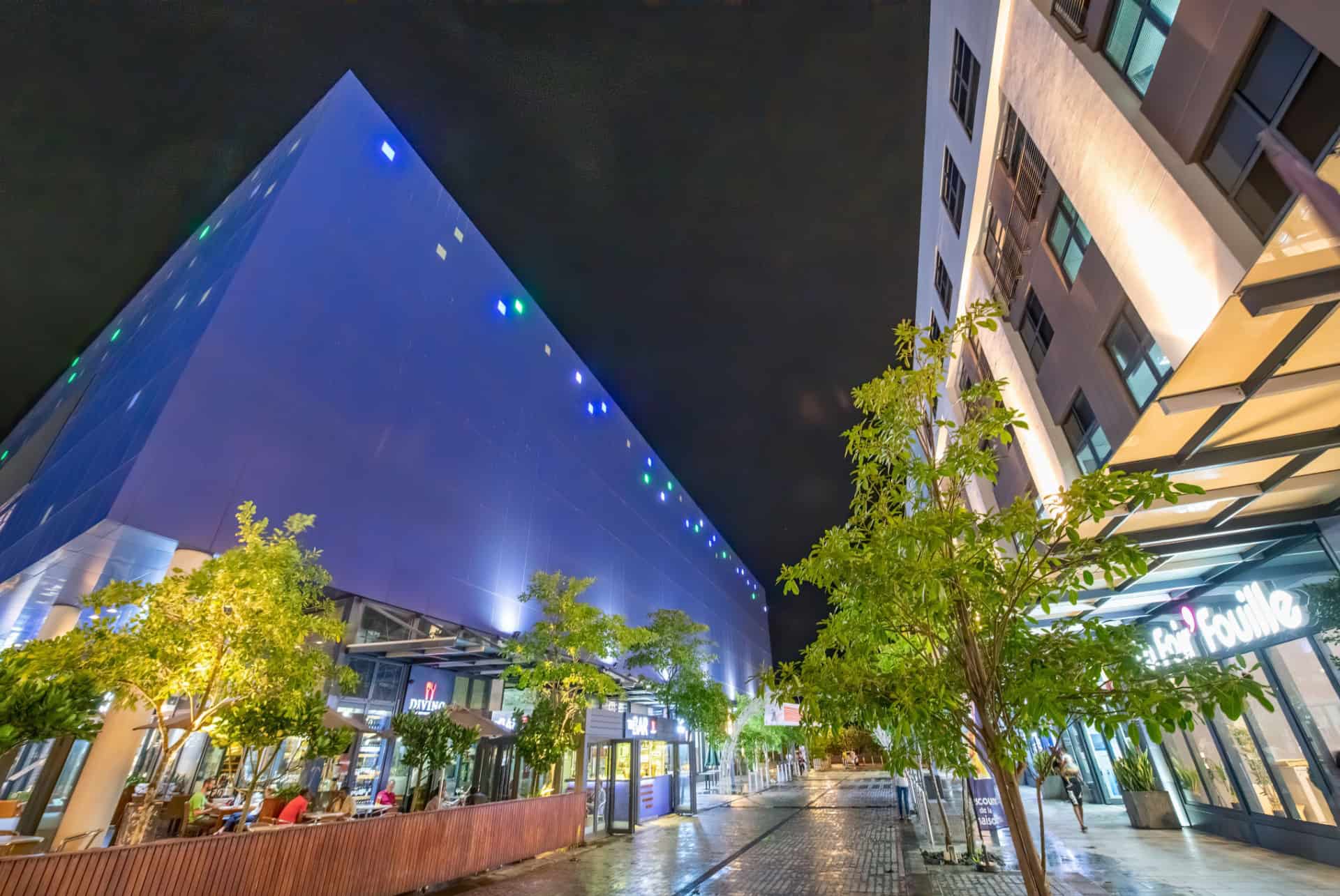 centre de mont choisy