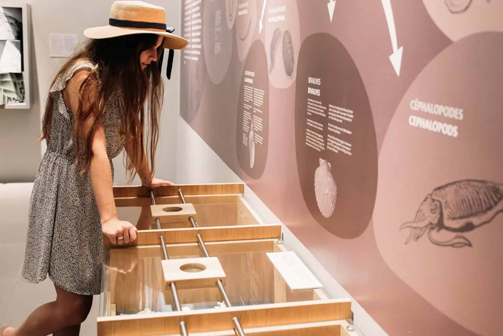 world of seashells museum