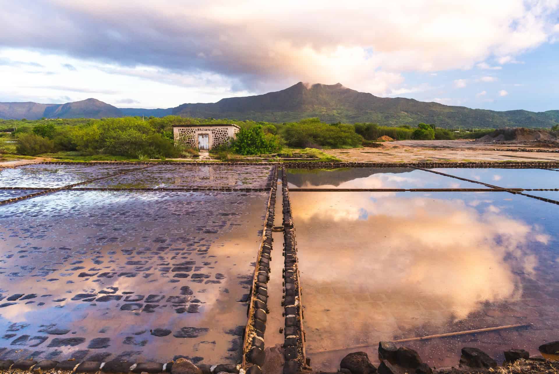 salines tamarin maurice