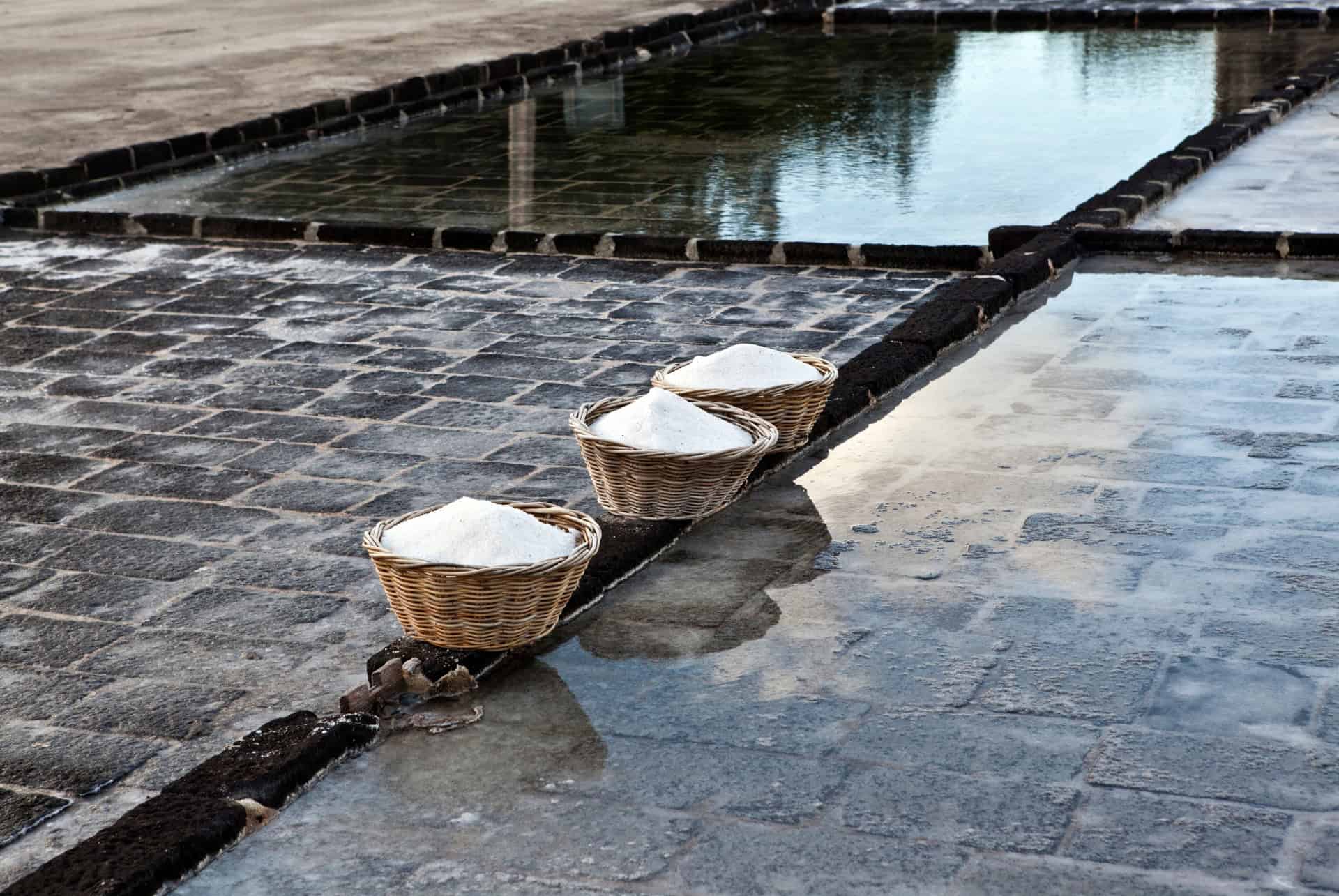 visite salines tamarin